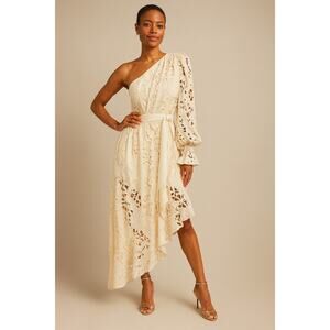 Ramy Brook Jayda Asymmetrical Cutout Dress Jute Floral In Beige Eyelet Size 4